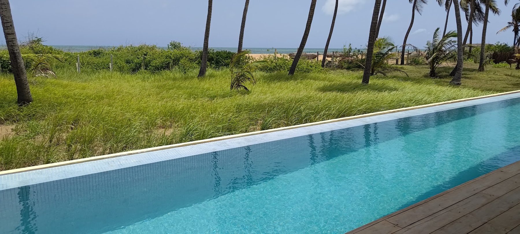 The long infinity pool running toward the ocean, framed by palms